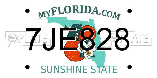 7JE828 Florida License Plate