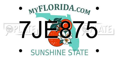 7JE875 Florida License Plate