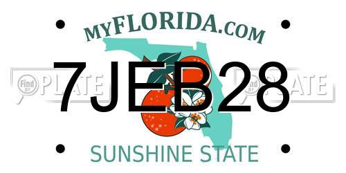7JEB28 Florida License Plate