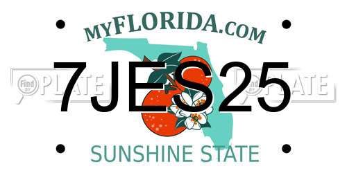 7JES25 Florida License Plate