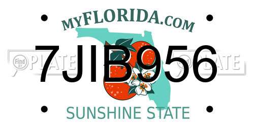 7JIB956 Florida License Plate