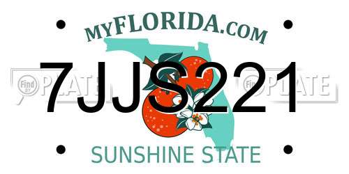 7JJS221 Florida License Plate