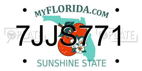 7JJS771 Florida License Plate