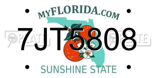 7JT5808 Florida License Plate