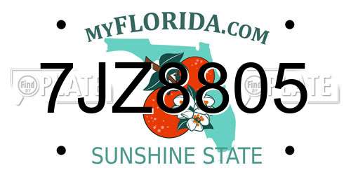 7JZ8805 Florida License Plate