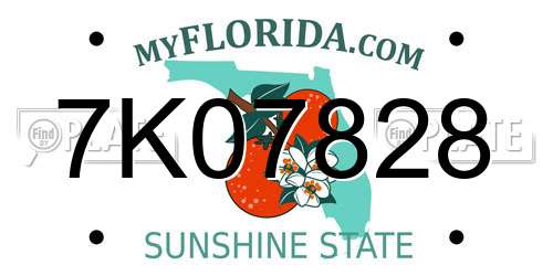 7K07828 Florida License Plate