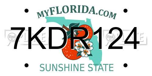 7KDR124 Florida License Plate
