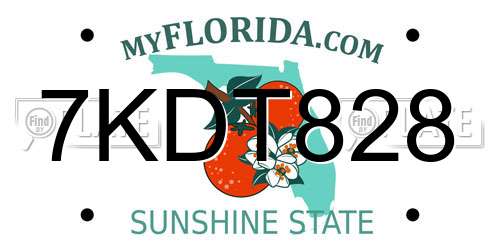 7KDT828 Florida License Plate