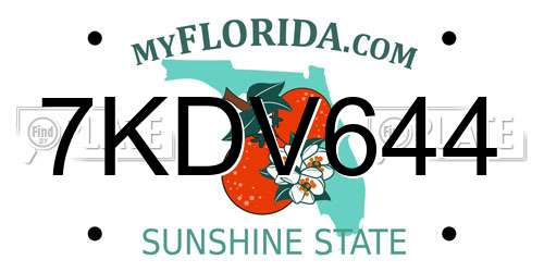 7KDV644 Florida License Plate