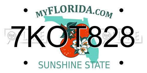 7KOT828 Florida License Plate