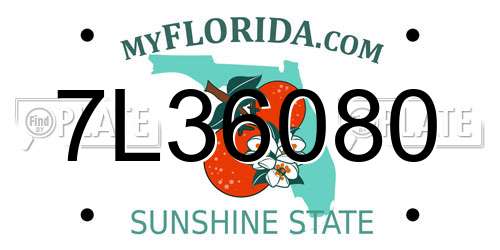 7L36080 Florida License Plate
