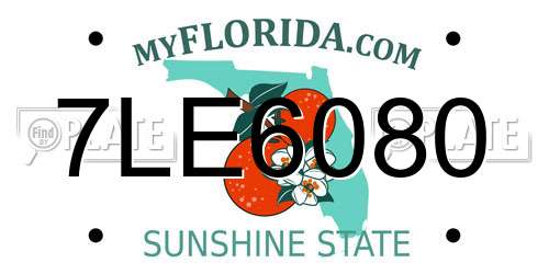 7LE6080 Florida License Plate