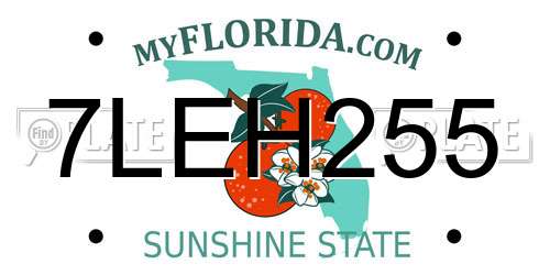 7LEH255 Florida License Plate