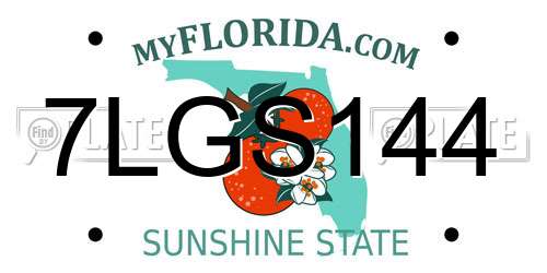 7LGS144 Florida License Plate