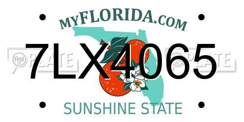 7LX4065 Florida License Plate