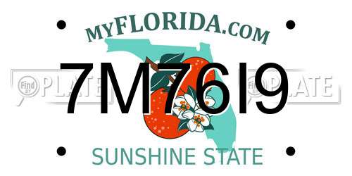 7M76I9 Florida License Plate