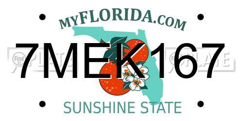 7MEK167 Florida License Plate
