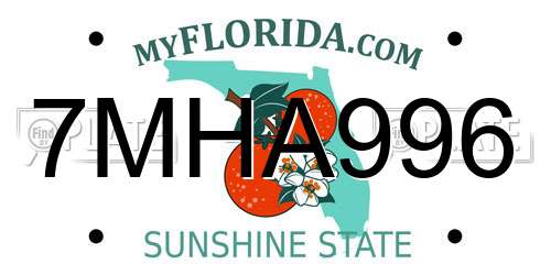 7MHA996 Florida License Plate