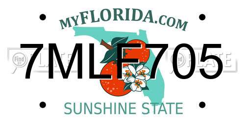 7MLF705 Florida License Plate