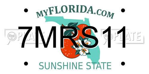 7MRS11 Florida License Plate