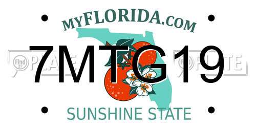 7MTG19 Florida License Plate
