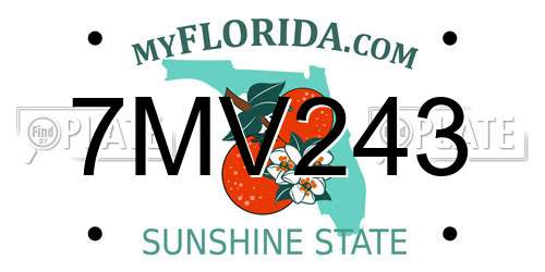 7MV243 Florida License Plate