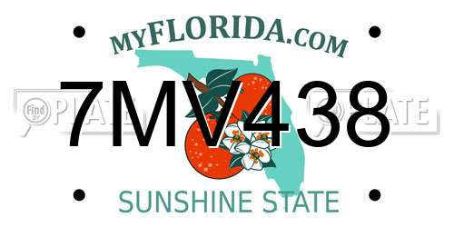 7MV438 Florida License Plate