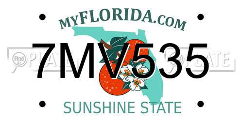 7MV535 Florida License Plate