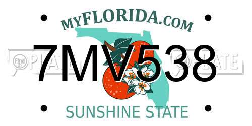 7MV538 Florida License Plate