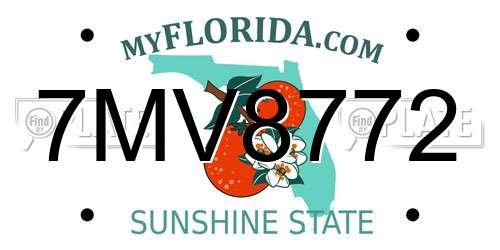 7MV8772 Florida License Plate