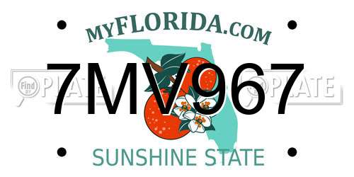 7MV967 Florida License Plate