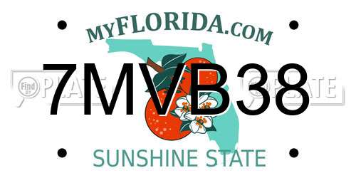 7MVB38 Florida License Plate