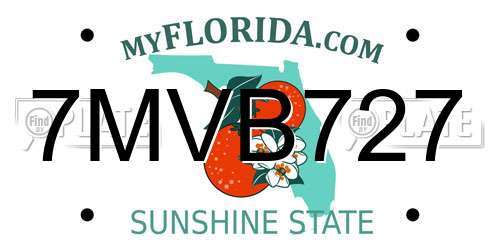 7MVB727 Florida License Plate