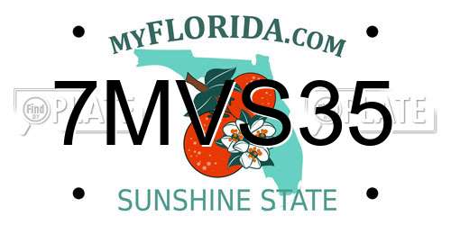 7MVS35 Florida License Plate