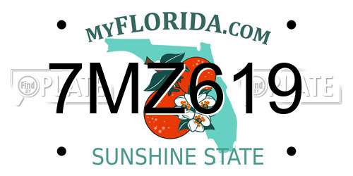 7MZ619 Florida License Plate