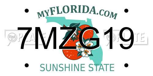 7MZG19 Florida License Plate