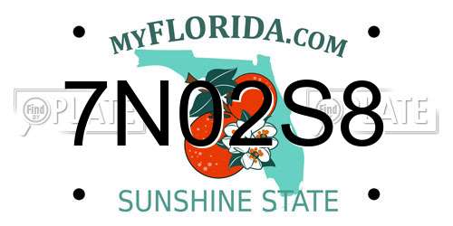 7N02S8 Florida License Plate