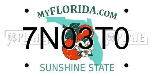 7N03T0 Florida License Plate