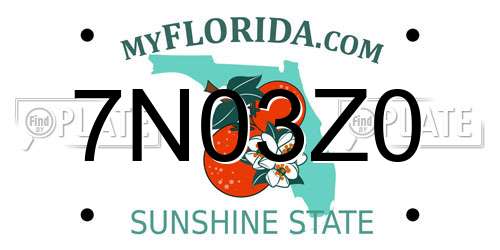 7N03Z0 Florida License Plate