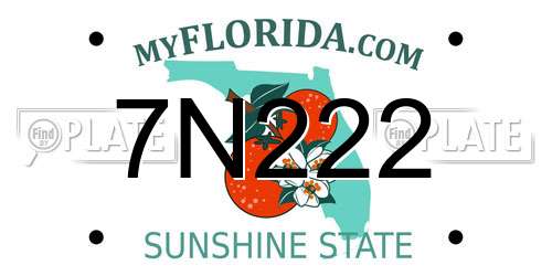 7N222 Florida License Plate