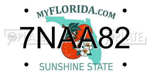7NAA82 Florida License Plate