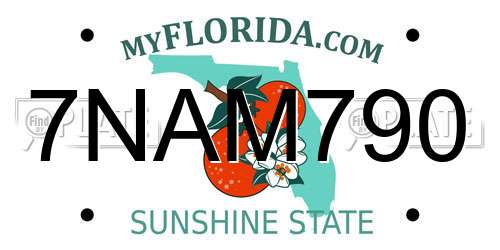 7NAM790 Florida License Plate