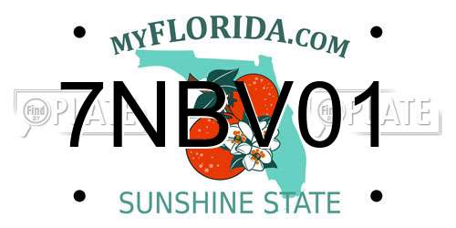 7NBV01 Florida License Plate