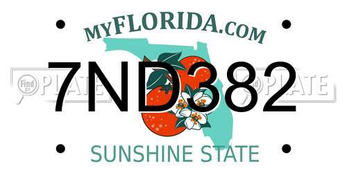 7ND382 Florida License Plate