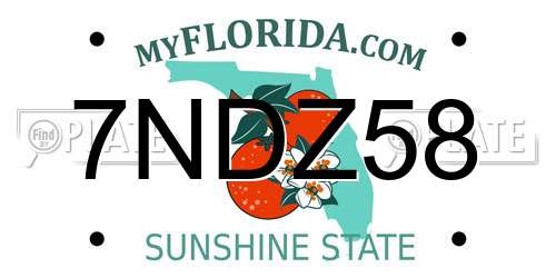 7NDZ58 Florida License Plate