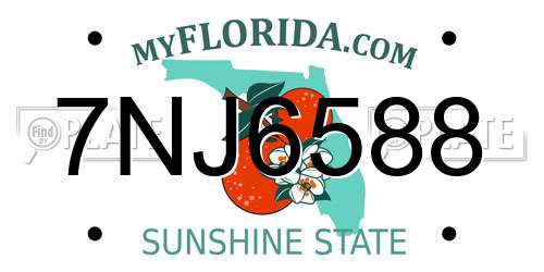 7NJ6588 Florida License Plate