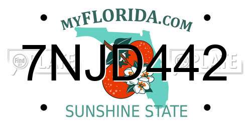 7NJD442 Florida License Plate