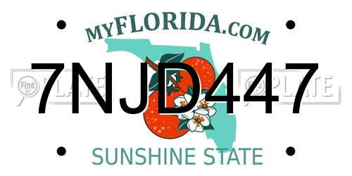 7NJD447 Florida License Plate