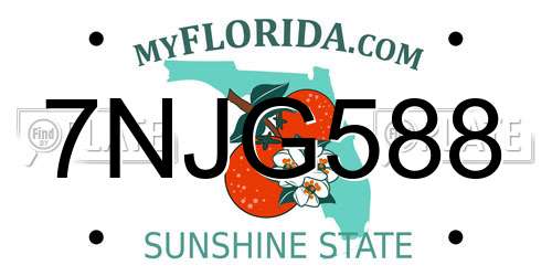 7NJG588 Florida License Plate