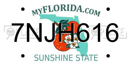 7NJH616 Florida License Plate